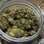 "Blueberry Kush, Indica-3" by Dank Depot is licensed under CC BY 2.0